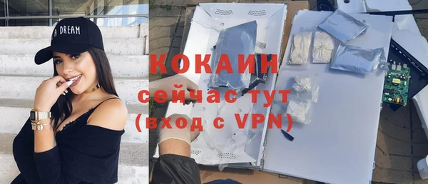 крисы Касимов
