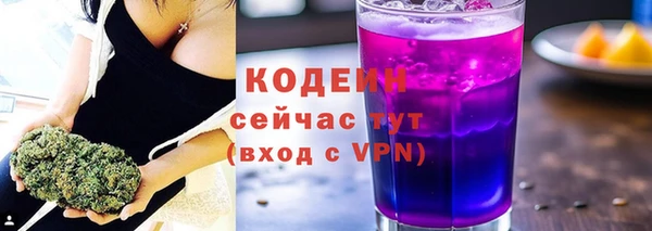 скорость Каменка