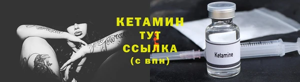 крисы Касимов