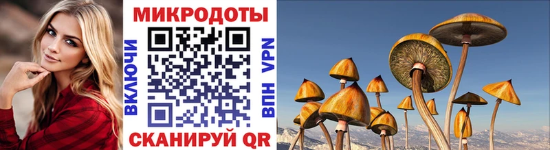 Псилоцибиновые грибы ЛСД  Северск 